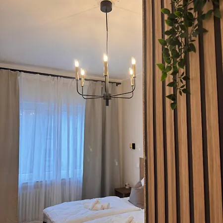 Apartment Geraeumiges 3 Raum-city-apartment -ost-2-